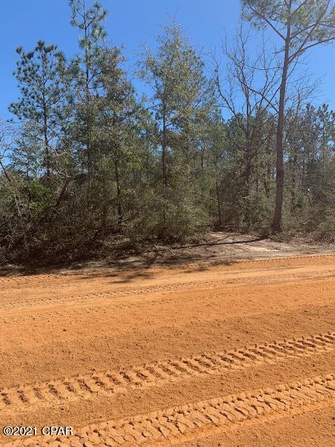 Compass Lake Hills Unit 2 - Land