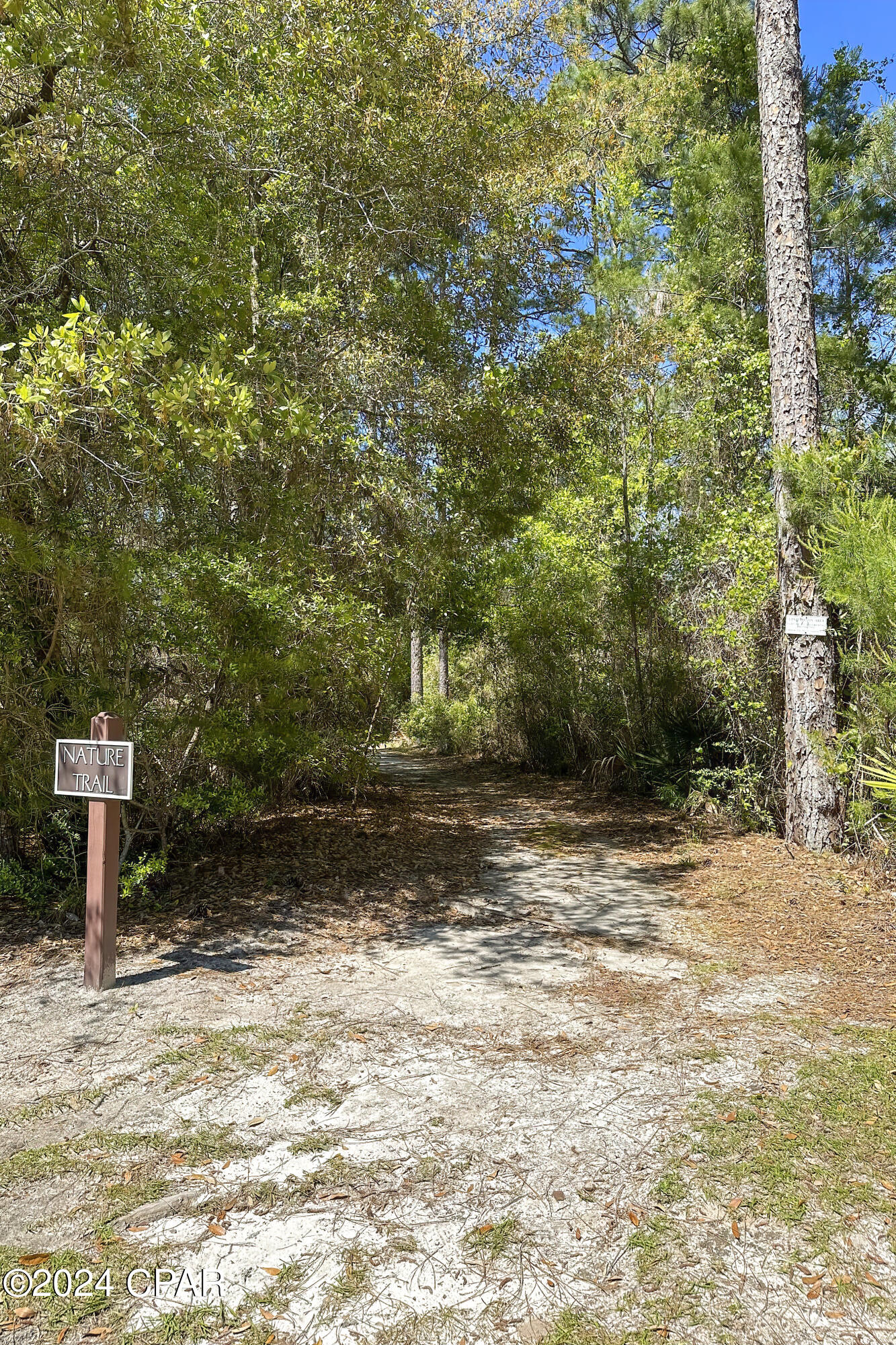 Wild Heron Phase III - Residential