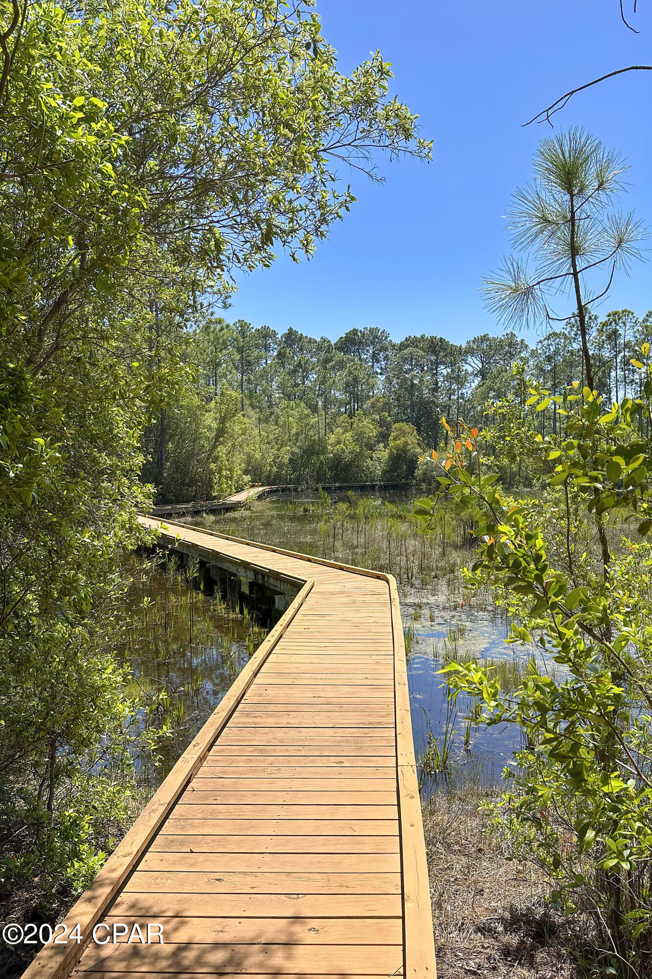 Wild Heron Phase III - Residential