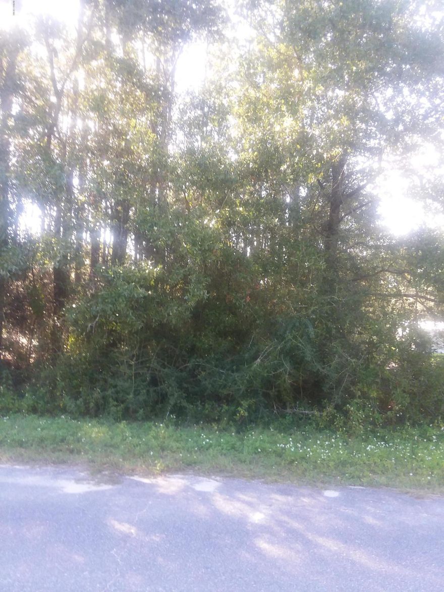 Wonderful wooded lot over half acre on paved road off of John Pitts Rd.  New construction next door. Dual access from paved rood, Wood Hurst Dr and dirt road, Bumby Rd. Nice and level; perfect for boats, truck storage, etc while keeping entrance on either road nice and clean. Close to town but with a private country feeling. Room to stretch for less. Try to find a bigger, nicer, cleaner, more accessable private piece of property without restrictions at this price. Just minutes to Bay Dunes Golf Course, Harders Park and Merritt Brown and Tommy Smith schools.