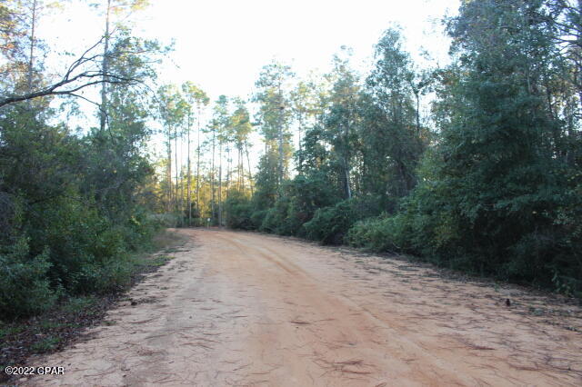 Compass Lake Hills Unit 2 - Land