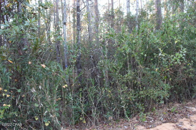 Compass Lake Hills Unit 2 - Land