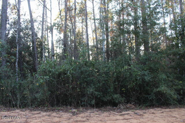 Compass Lake Hills Unit 2 - Land