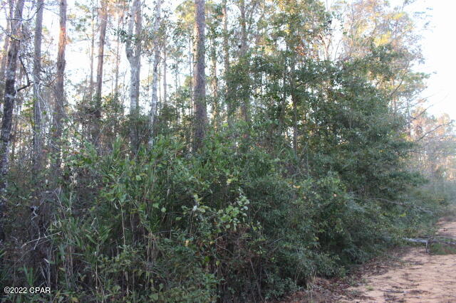 Compass Lake Hills Unit 2 - Land