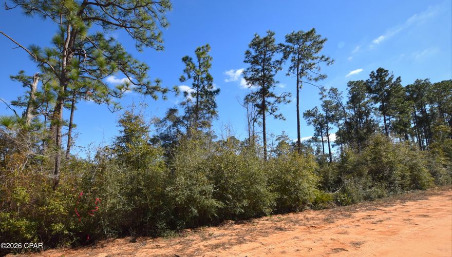 Build your dream home in the desirable Compass Lake in the Hills community! This wooded parcel on Fairborn Avenue offers a peaceful setting surrounded by natural beauty while still being part of an established neighborhood. Tucked away from the hustle and bustle, this lot provides the perfect opportunity for a site-built home or future investment. Enjoy all the amenities Compass Lake in the Hills has to offer, including access to lakes for fishing and swimming, community pool, clubhouse, tennis courts, and more. Conveniently located within a reasonable drive to Panama City Beach and the 'World's Most Beautiful Beaches,' you can enjoy quiet country living with coastal attractions just a day trip away. Don't miss your chance to own a slice of Florida paradise — bring your house plans and start building today!