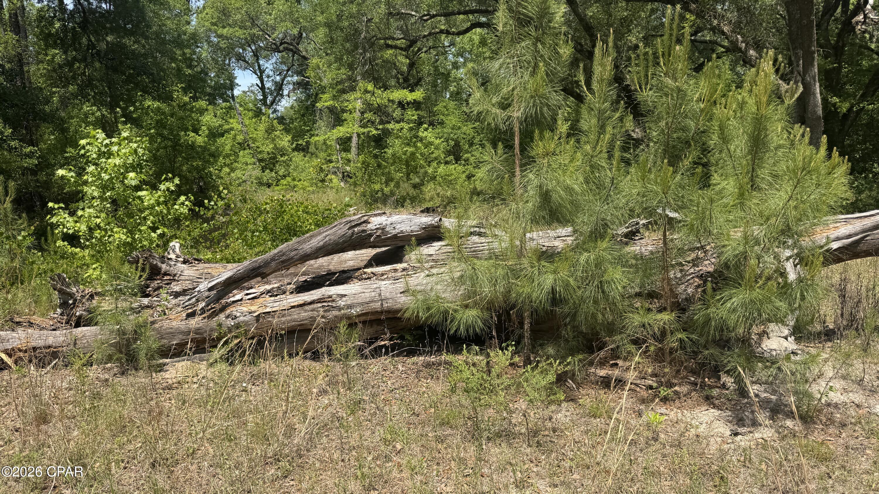 [No Recorded Subdiv] - Land
