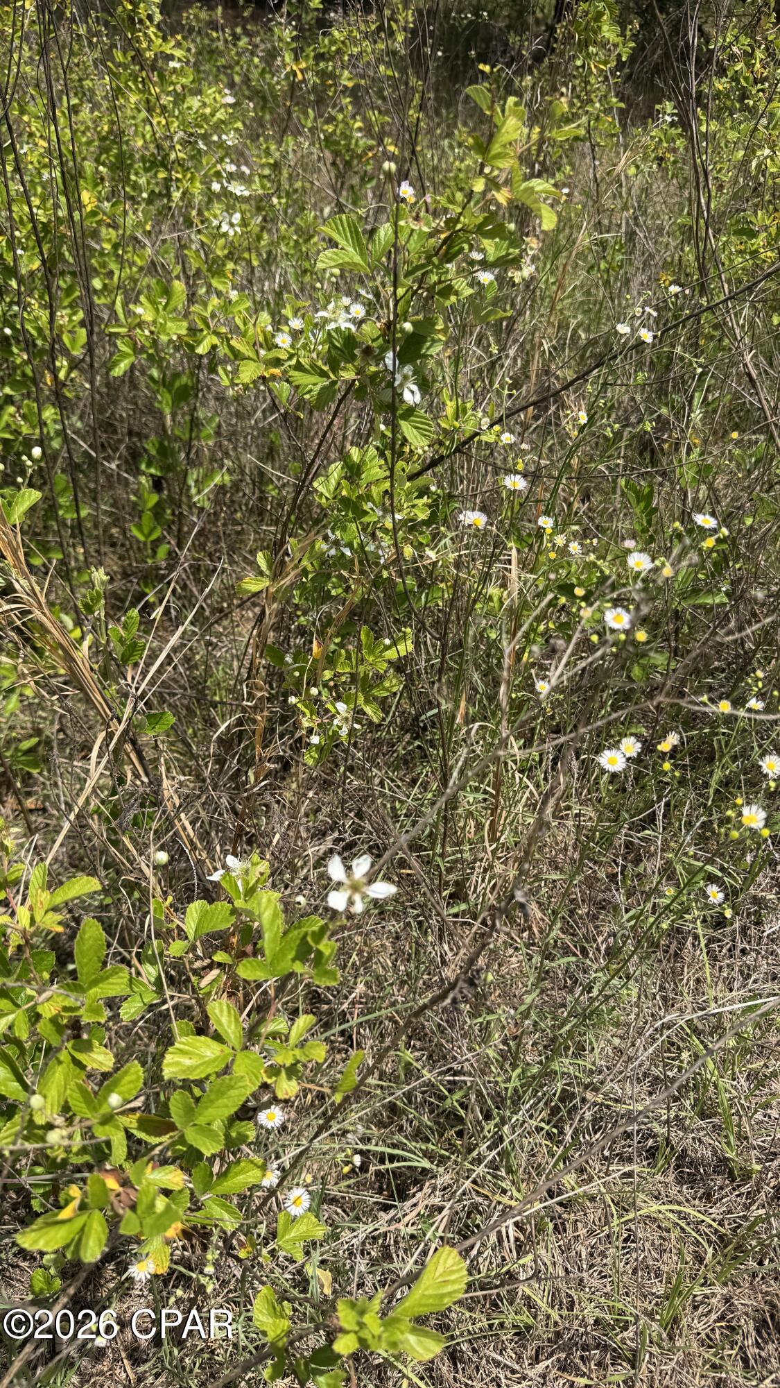 [No Recorded Subdiv] - Land