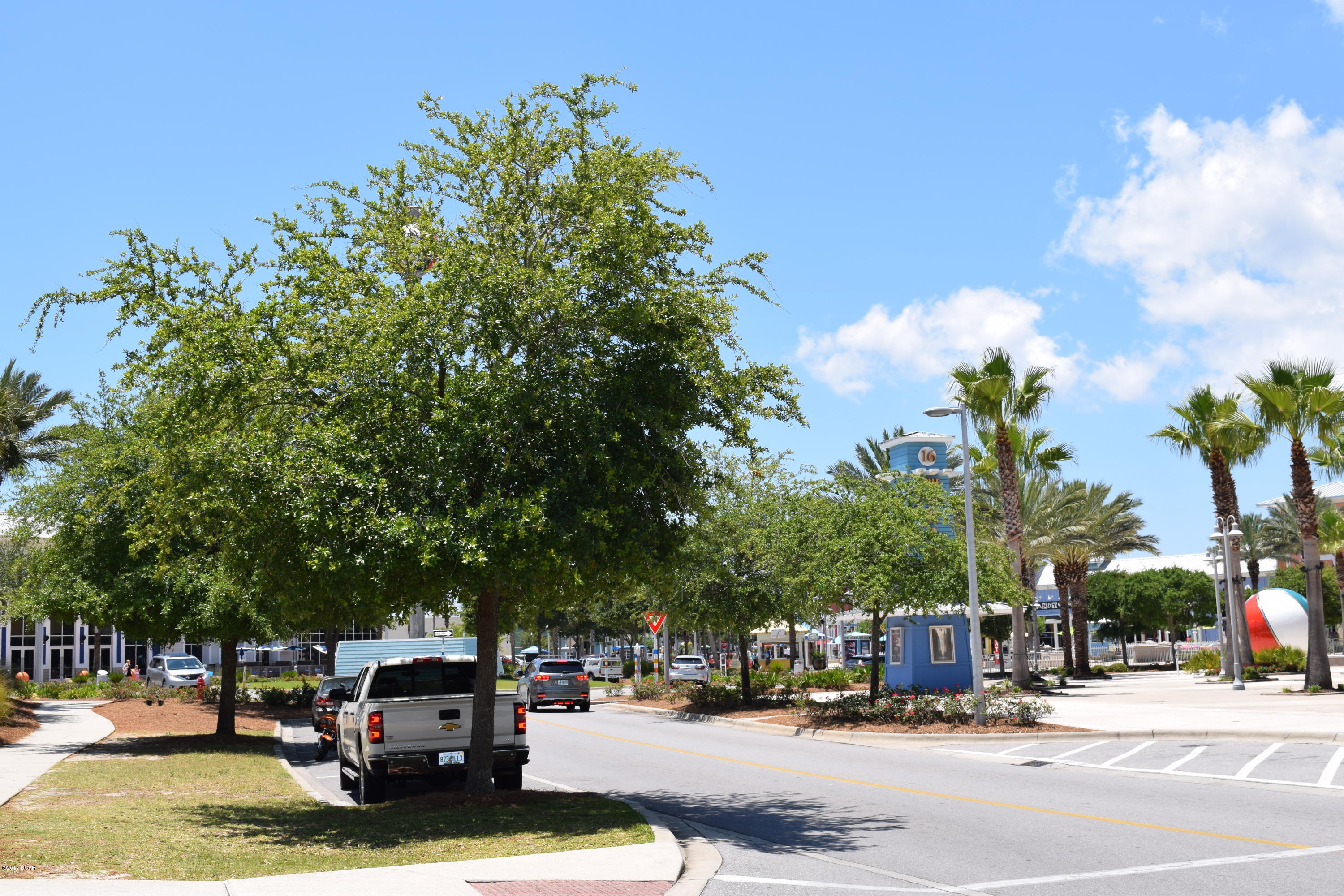 Palmetto Trace Phase 1 - Residential