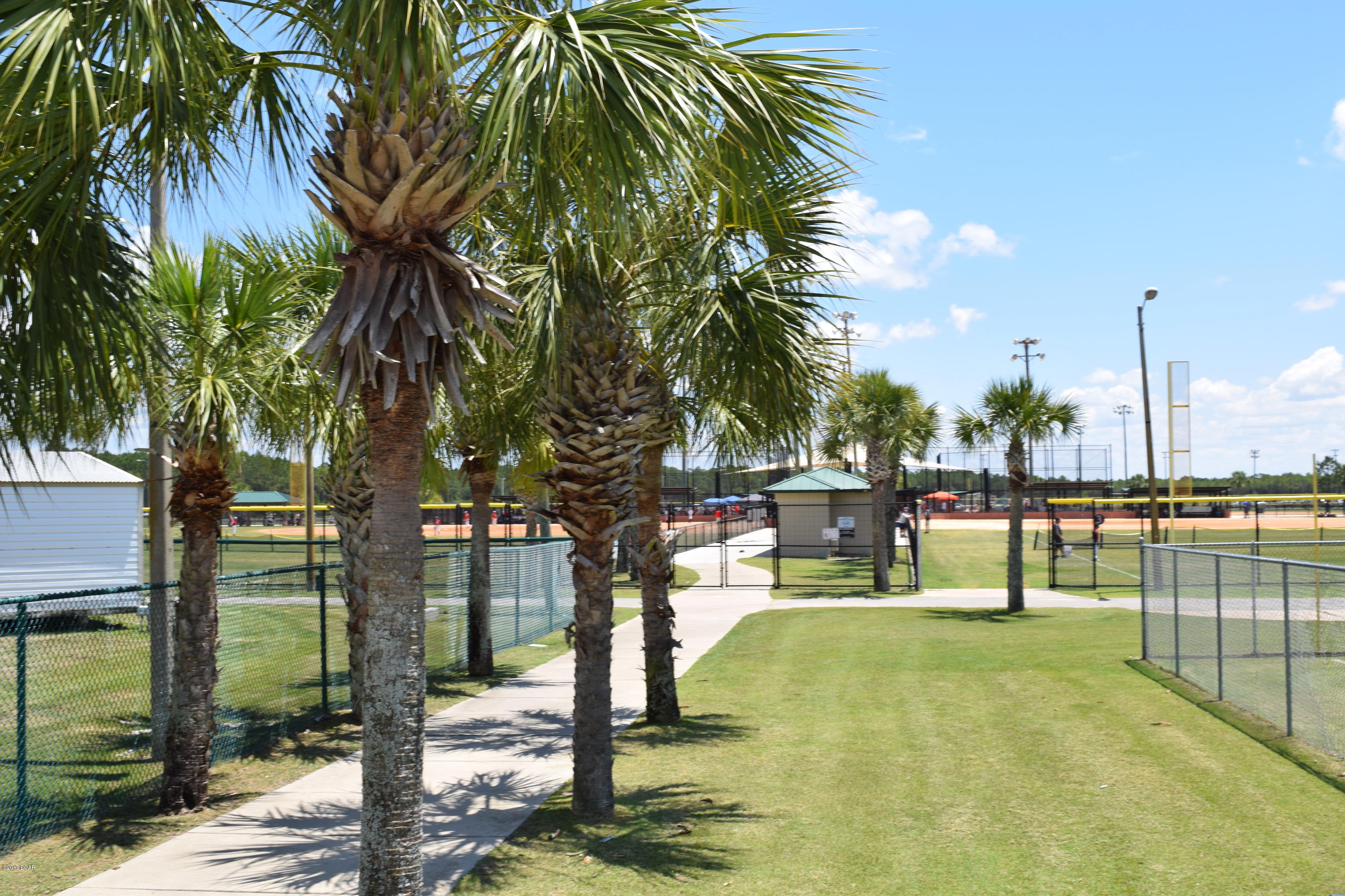 Palmetto Trace Phase 1 - Residential