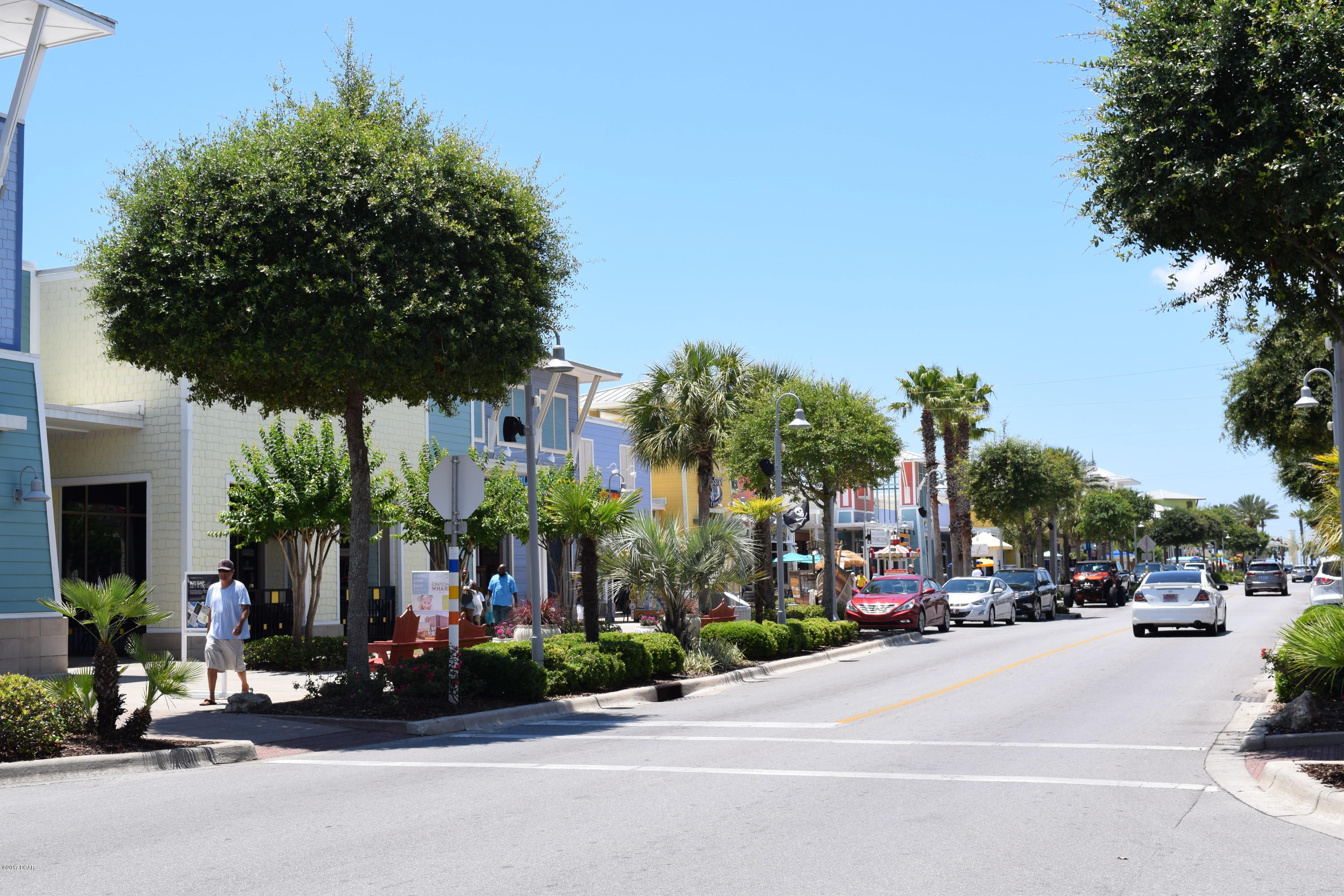 Palmetto Trace Phase 1 - Residential