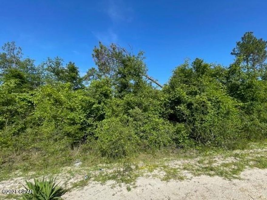 Nice wooded lot in great location not far from McCormick Lake.   Lot has nice trees and is a great spot to build your home.  You have access to 2 nice lakes and numerous amenities