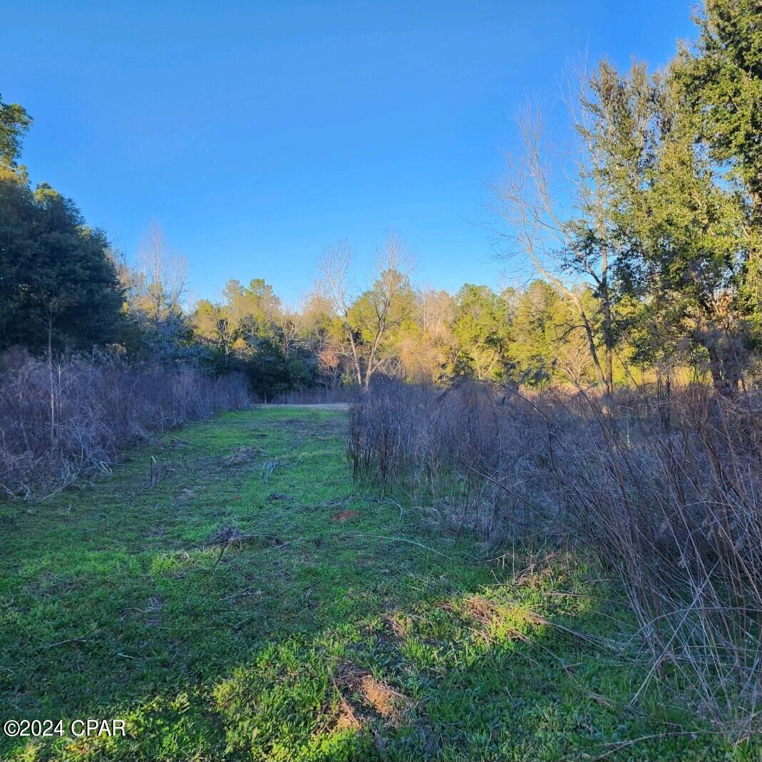 Cottondale - Commercial Sale