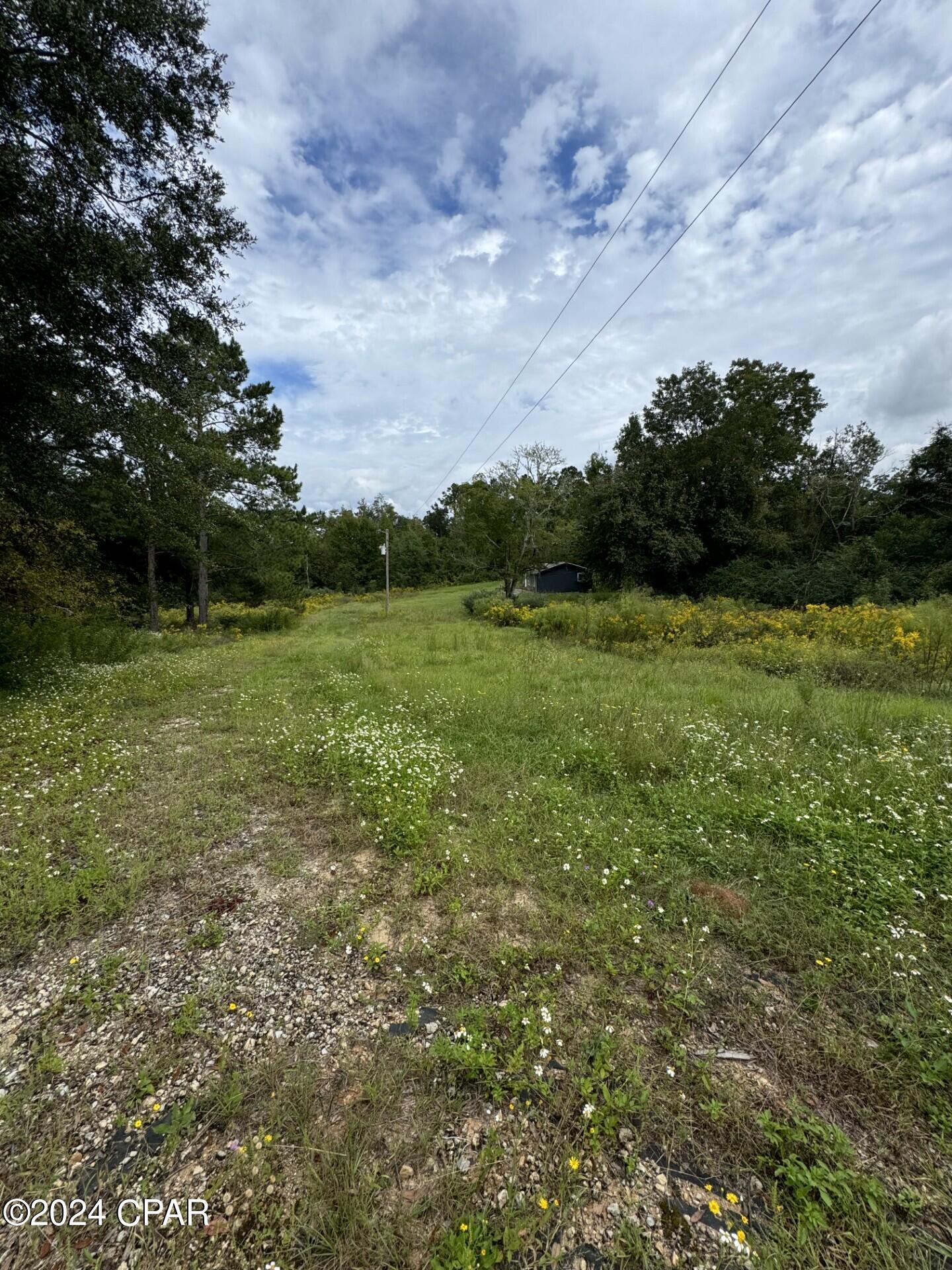 Cottondale - Commercial Sale