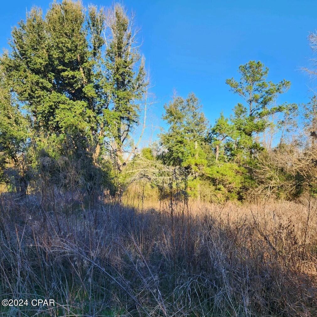 Cottondale - Commercial Sale