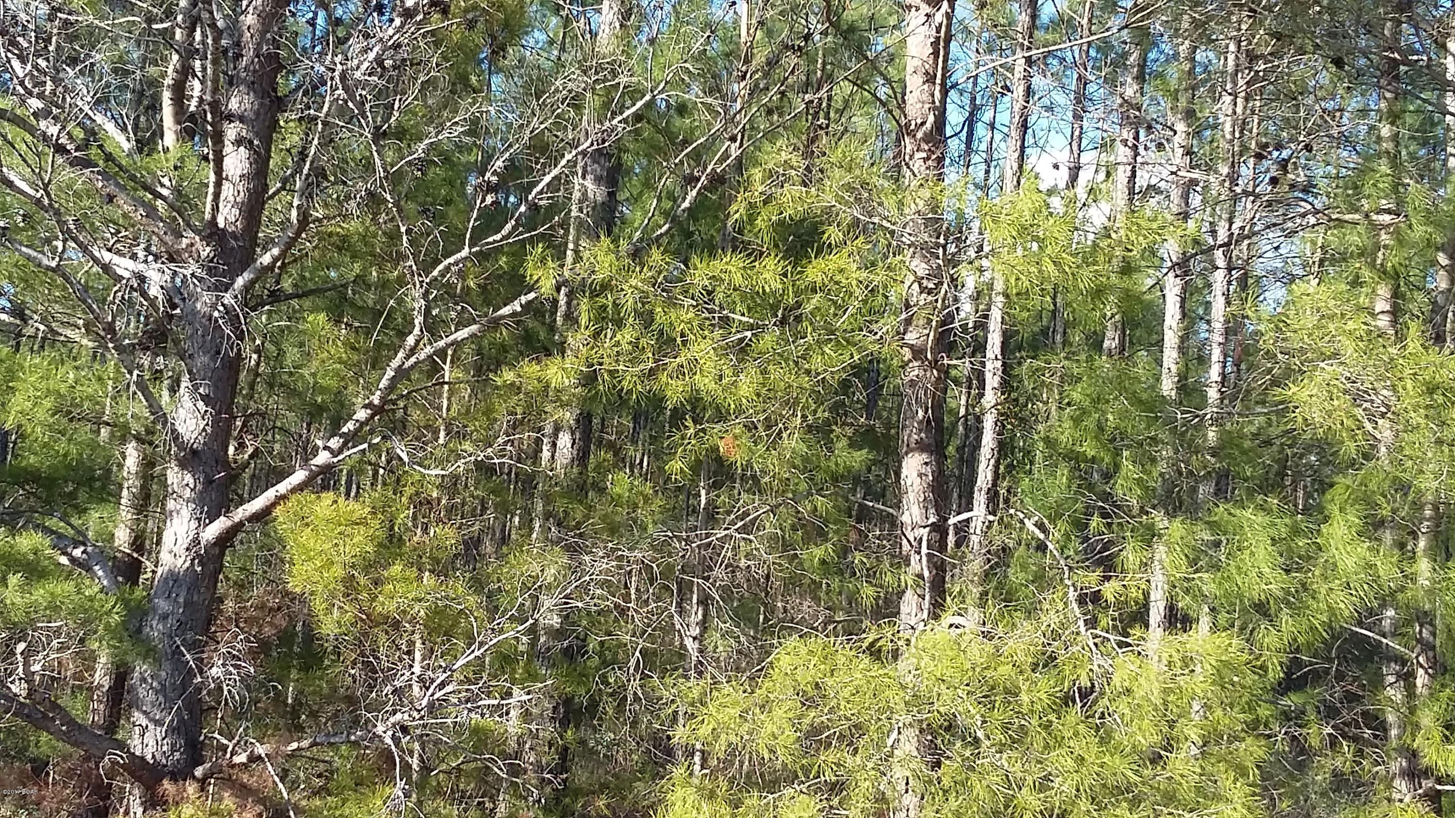 No Named Subdivision - Land