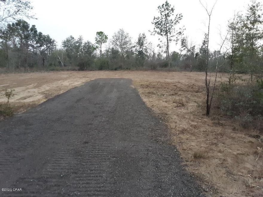 5 Acres surveyed that is located in Flood Zone X.  Appears to be level.  Driveway in place.   Seller cleared the lot lines & a building site. Straight shot to Hwy 231.  South to Panama City to Beaches. And North to I-10.  20ft wide easement runs along property line for adjoining land owners access.