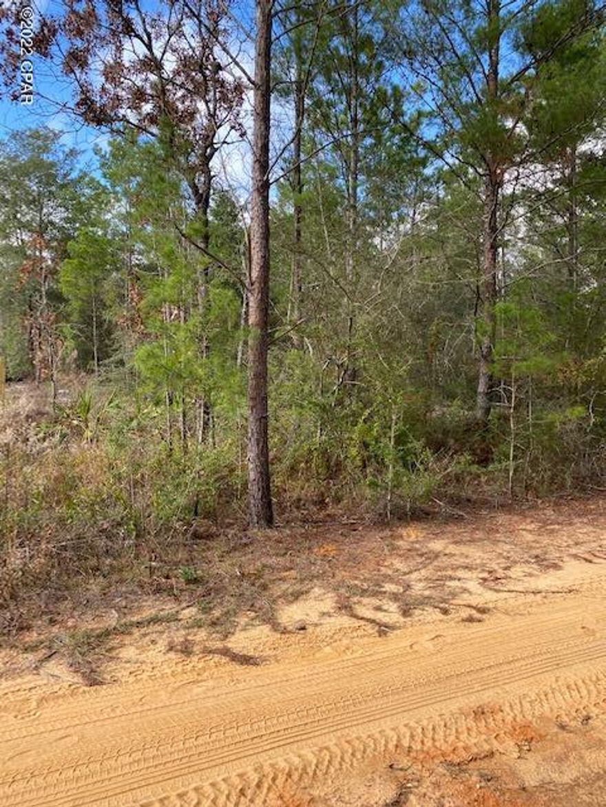 Beautiful piece of residential property perfect for building a home or setting up a trailer. Located Half way between DeFuniak Springs and Crestview Florida and a few miles from an I10 exit.  Community water is available.  Water tap, Septic and Electricity needed.  Sign on Property.