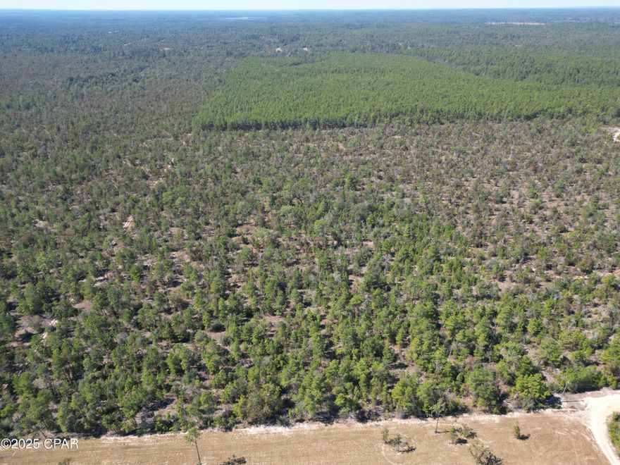 Discover this expansive 50+/- acre property nestled in a peaceful rural setting, offering easy access to amenities and nearby beaches. High and dry, this parcel provides an ideal retreat for outdoor enthusiasts and future homeowners alike. Featuring scattered Florida pines, it's perfect for creating a family compound or a serene weekend getaway.
Abundant wildlife including turkeys and whitetail deer frequents the property, making it a haven for hunting. Recreational opportunities abound with ATV riding, horseback riding, and exploring the scenic woods.
Whether you're looking for a future investment, a recreational retreat, or the perfect spot to build your dream home—possibly bringing in a mobile home—this property has it all.
Don't miss this opportunity to own a versatile piece of land in one of Florida's flourishing areas. Contact us today to schedule a viewing or for more information.
Features:
- high, dry land 
- Abundant wildlife including turkeys and whitetail deer
- Perfect for hunting, camping, and outdoor recreation
- ATV riding and horseback riding opportunities
- Perfect for building a home or placing a mobile residence.
- Ideal for a private family compound 
- Close proximity to Panama City and Panama City Beach for convenience
* 38 miles to Panama City, FL
*49 miles to Panama City Beach, FL