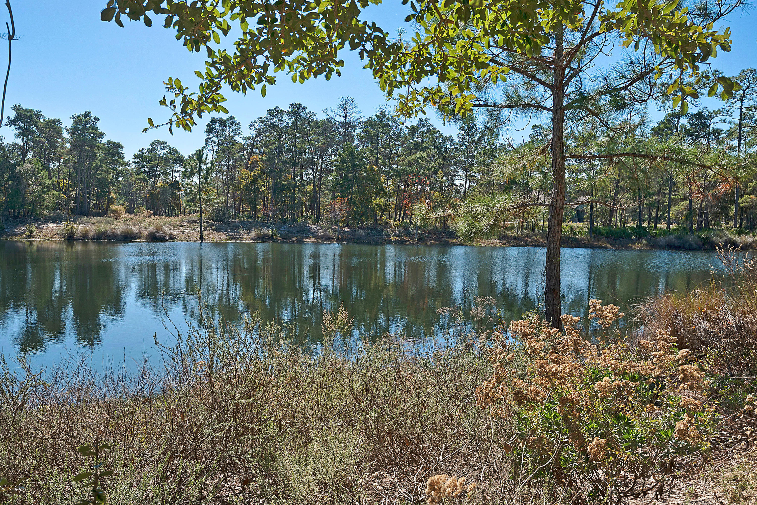 Linkside At Wild Heron - Residential