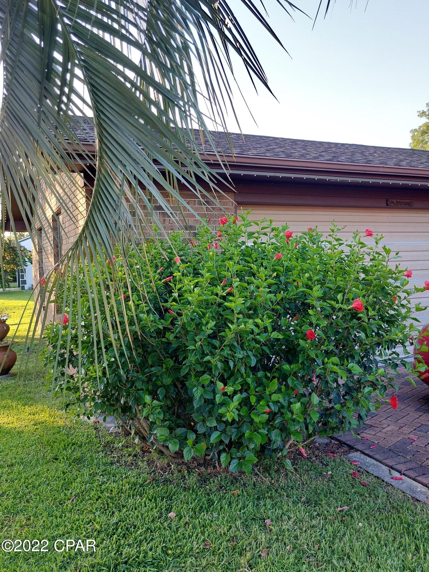 Colony Club - Residential