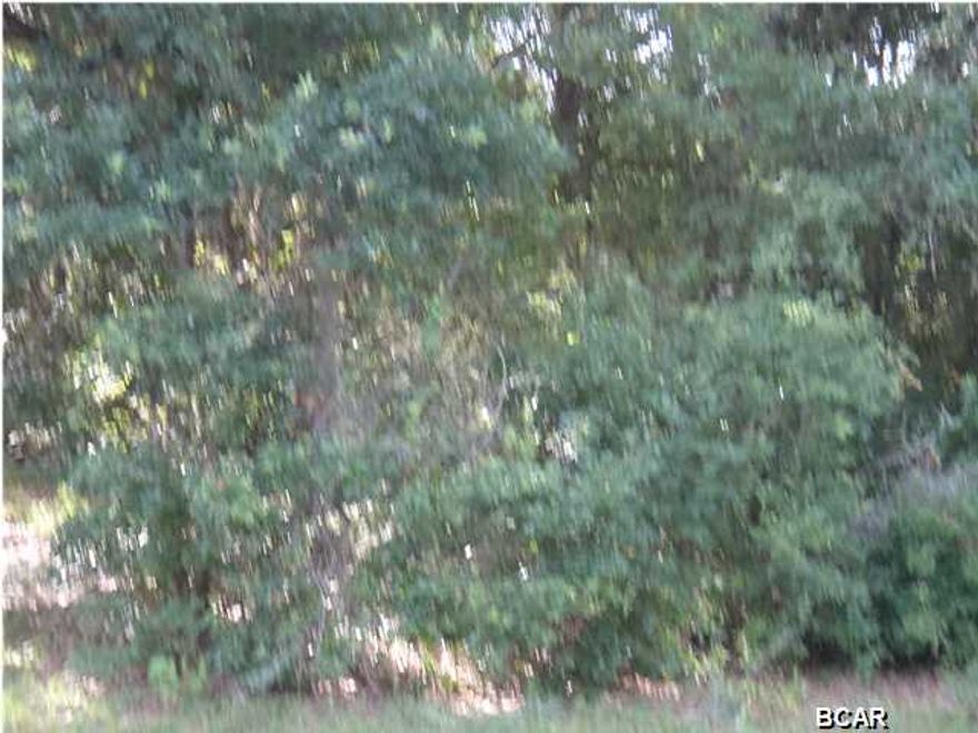 VACANT LOT ON PAVED ROAD---GREAT PLACE TO BUILD YOUR DREAM HOME---NEAR BEAUTIFUL DEERPOINT LAKE---LARGE HOMES AND SUBDIVISION IN NEIGHBORHOOD---LOTS OF ROOM FOR YOUR PRIVACY!!!!------GREAT AREA TO RAISE YOUR FAMILY!!!! ROOM TO HAVE HORSES!!!! FOUR WHEELER!!!! PLAY AND LET YOUR CHILDREN GROW UP WITHOUT BEING RIGHT NEXT DOOR!!!