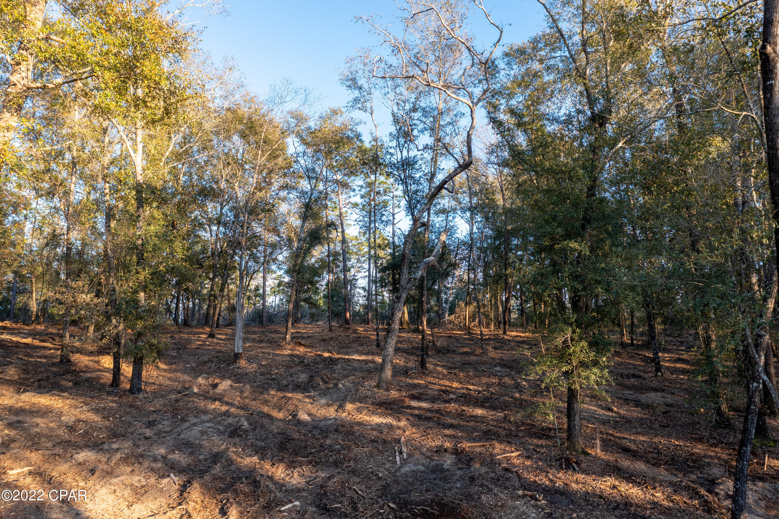 Leisure Lakes - Land