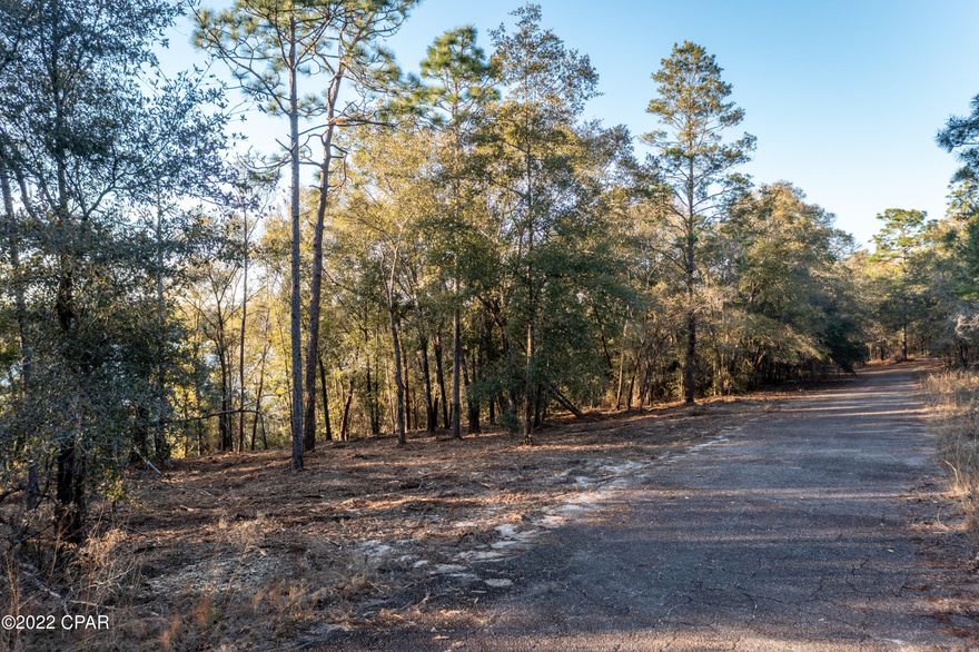 BEAUTIFUL WATERFRONT LOT cleared and ready for your new home!  Don't miss out on this opportunity to own a waterfront property on Lake Suzanne in the Leisure Lakes subdivision. As a bonus, this property already has a survey. Contact your favorite realtor today to schedule a showing.