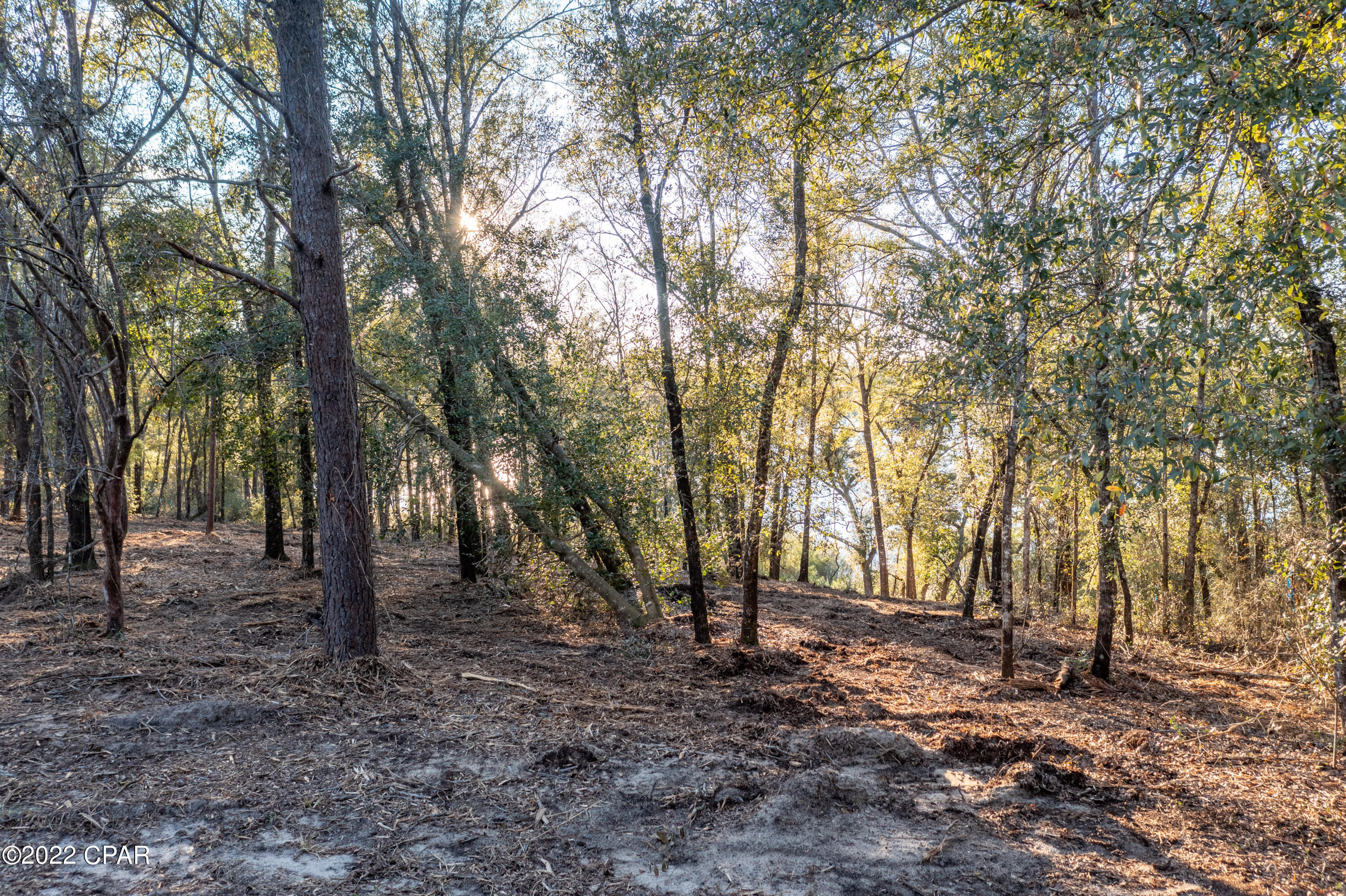 Leisure Lakes - Land