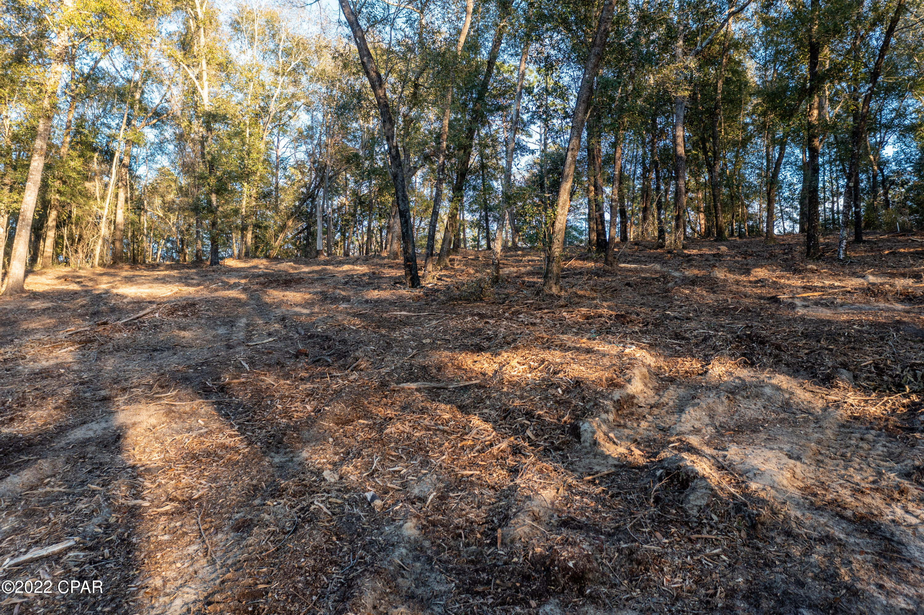 Leisure Lakes - Land