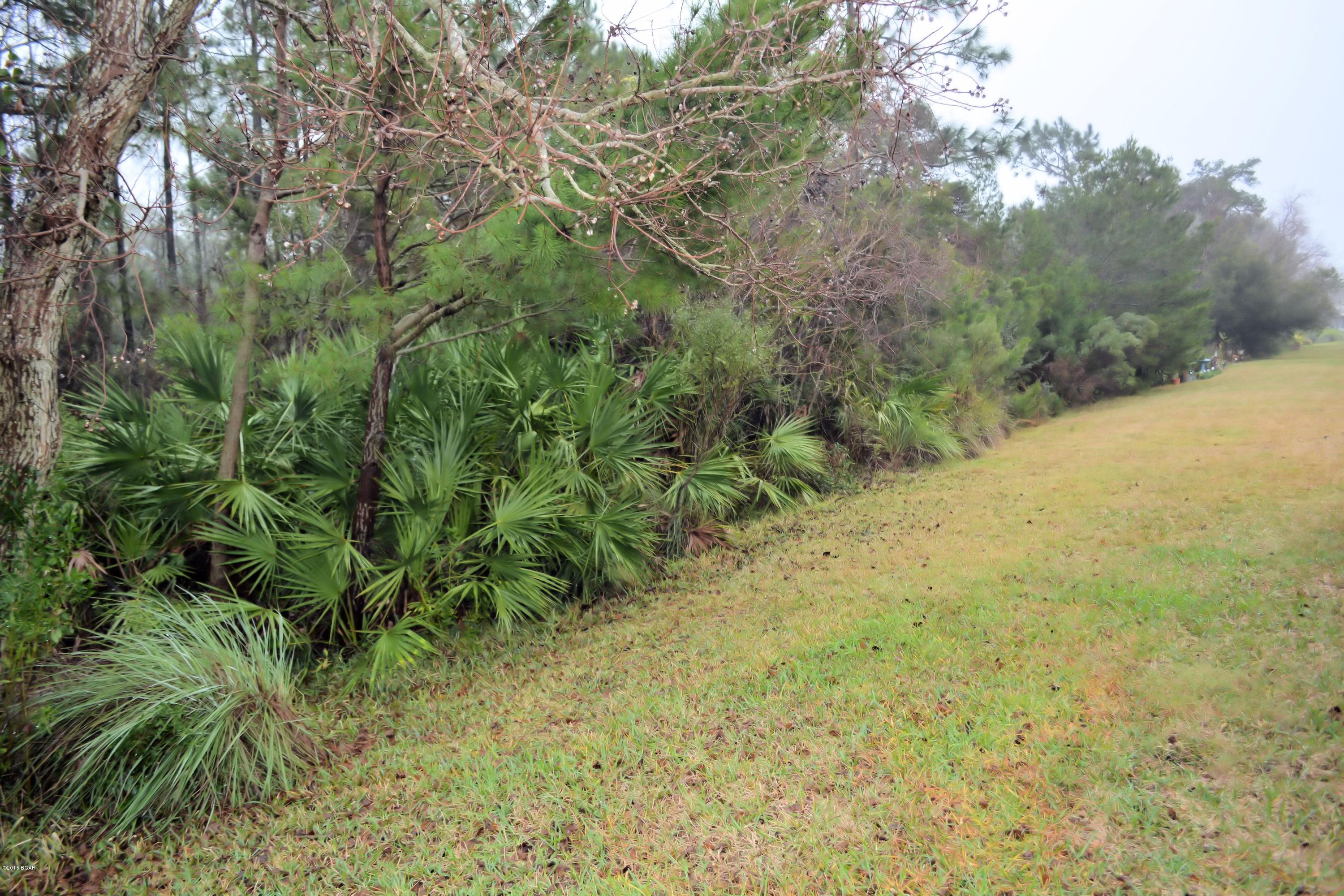 Palmetto Trace - Residential