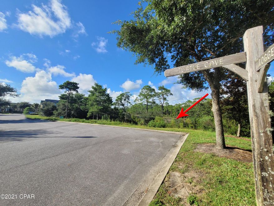 Turtle Cove is a small, highly sought after community tucked away just off of Highway 98 in an alcove on Lake Powell and is just minutes away from both Pier Park and 30A. This ready to build on corner lot is one of the most private areas of the community, ensuring neighbors from only one side of your property. Enjoy your morning coffee or evening tea in front of sunrises and sunsets from the stunning lake views of your newly built home. Endless possibilities await for the design of the lakefront area; build a wraparound deck perfect for entertaining and a Juliet balcony perfect for a romantic evening listening to the wind and birds. With HOA approval, add a long dock through the beautiful, marshy area of your property, similar to the nature walks of PCB Conservation Park, that leads to the calming waters of Lake Powell. Turtle Cove offers a luxury clubhouse with a 9,000 square foot deck overlooking Lake Powell that surrounds a sparkling, newly resurfaced gunite pool and hot tub. Other amenities include beautifully kept tennis courts, a gym, and an expansive amphitheater area that the HOA has used to host community outdoor movies.