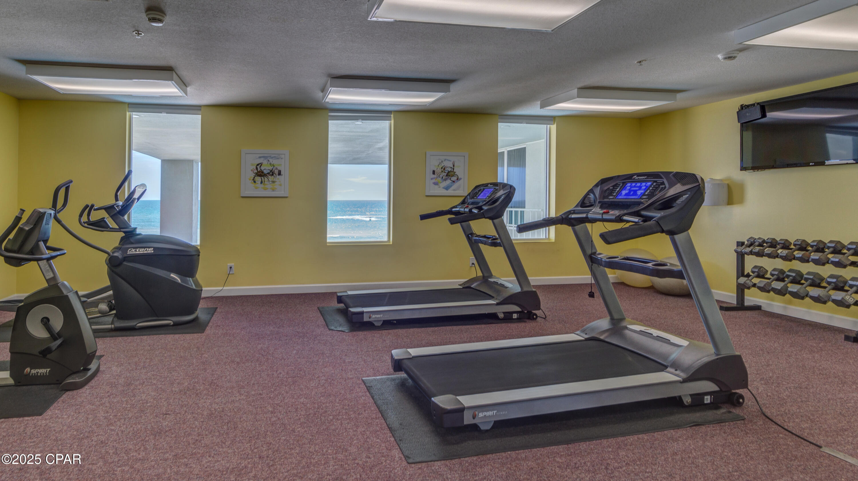 Marisol Condo - Residential Lease