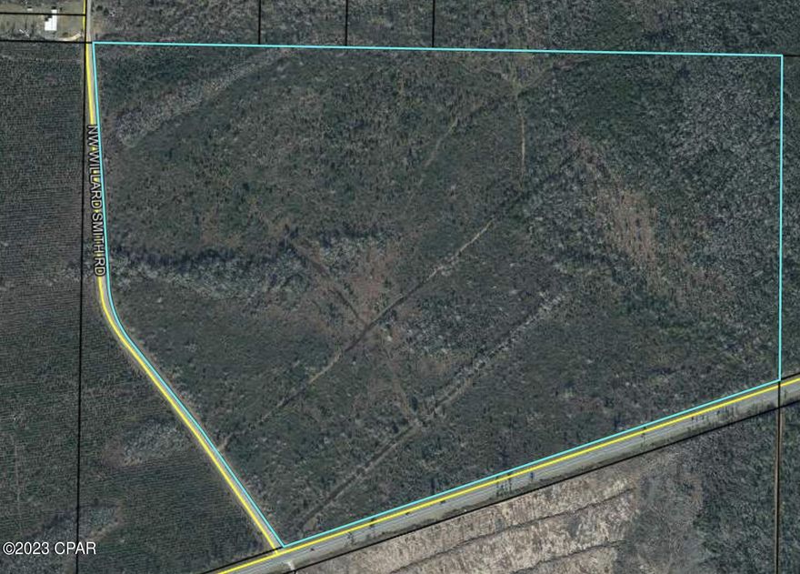 91.57 acres just outside of Blountstown Fl.  Hwy frontage and county graded road frontage. Excellent visibility. Many possibilities.
