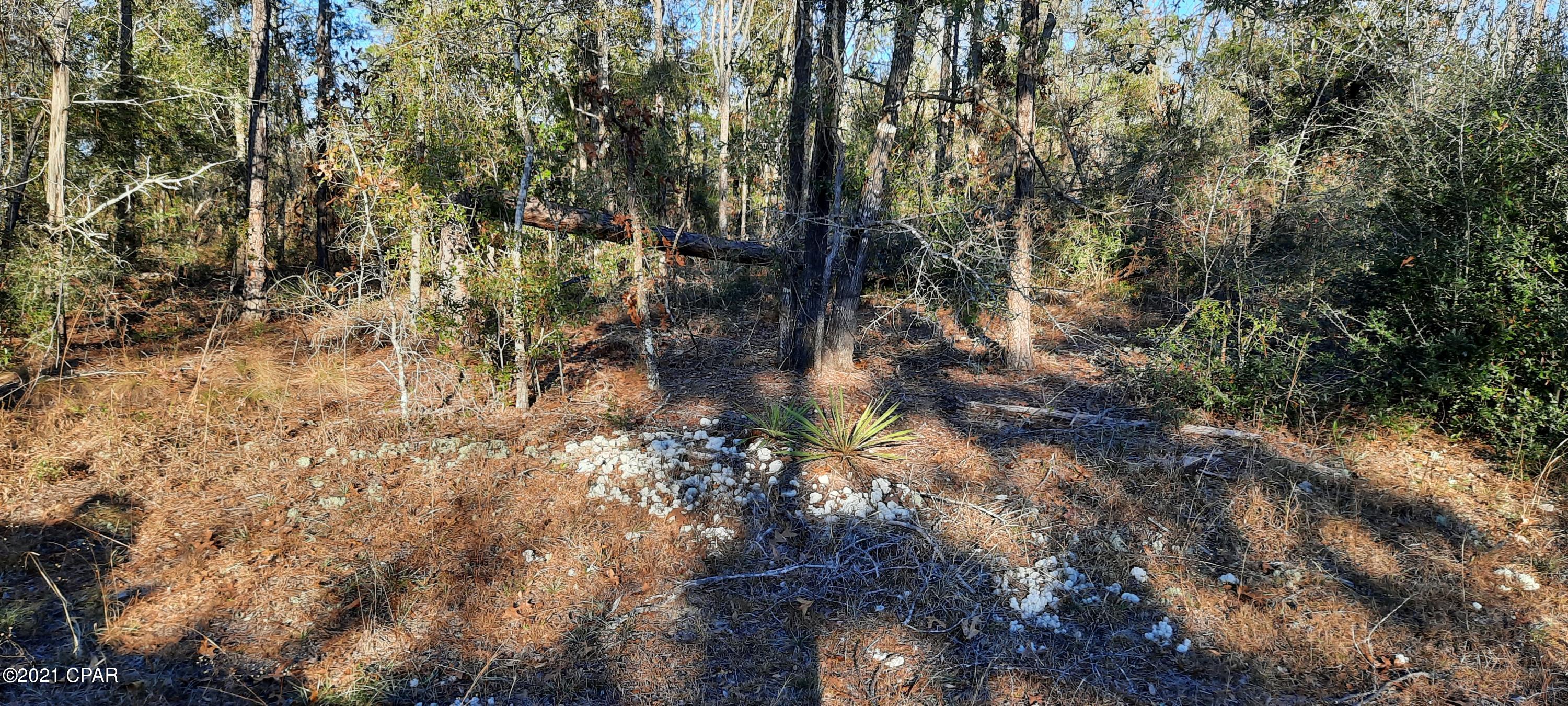 Compass Lake Hills Unit 5 - Land