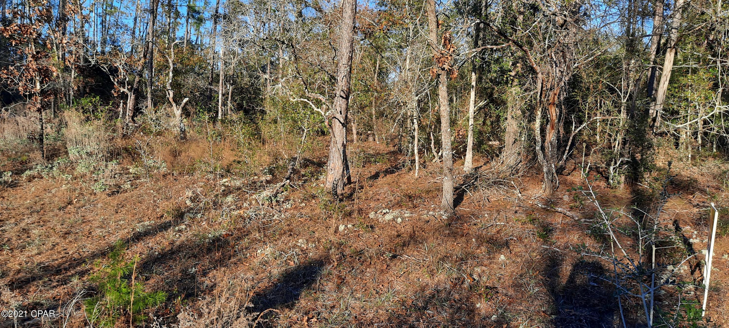 Compass Lake Hills Unit 5 - Land