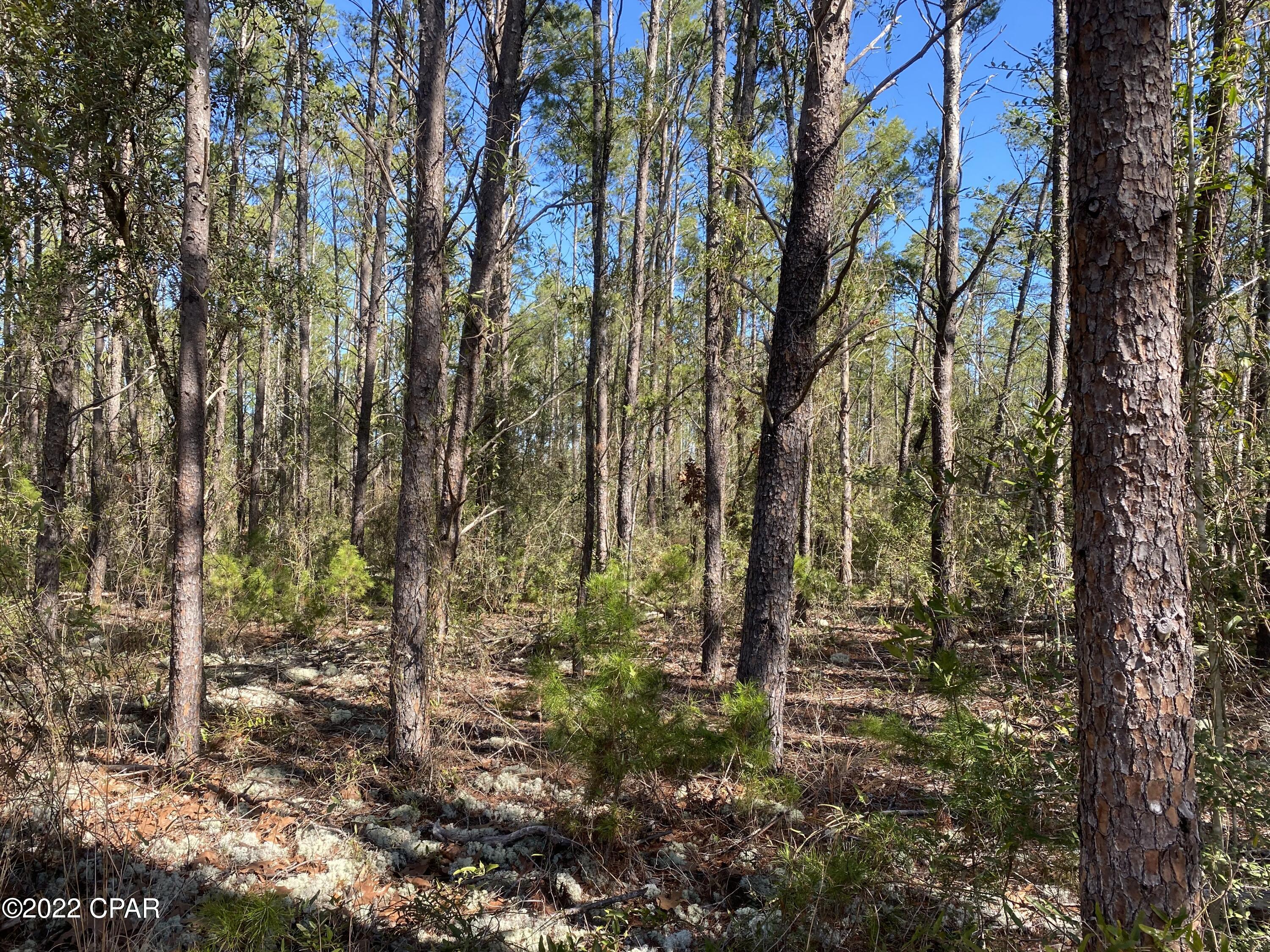 [No Recorded Subdiv] - Land