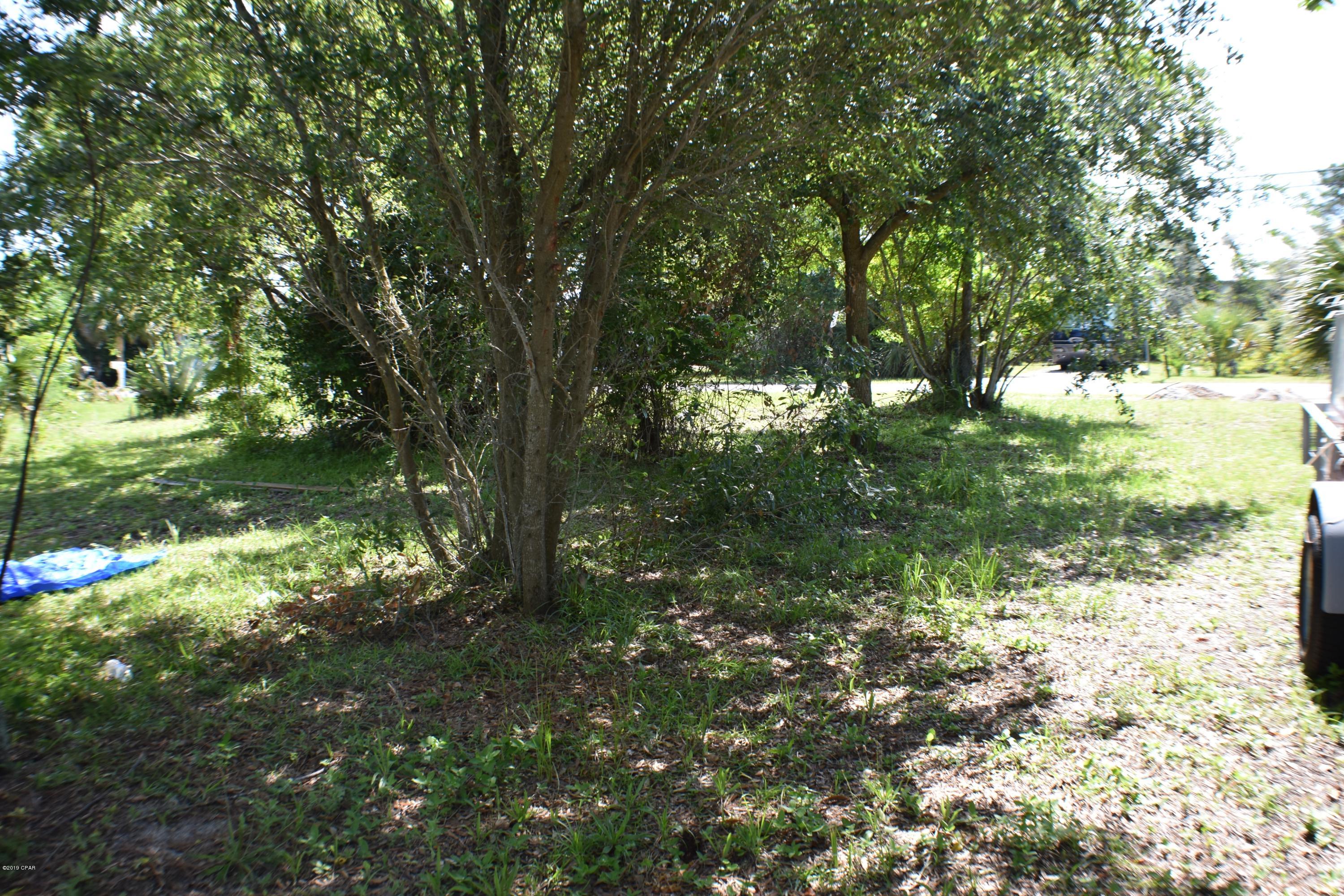 Hutchison's 1st To Bahama Bch - Land