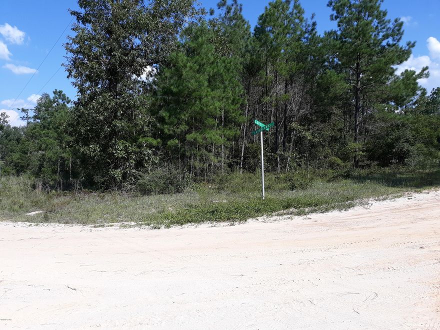 Lot's of room on this corner lot with 1.6 acres.

Has some nice trees and plenty of room to build.
