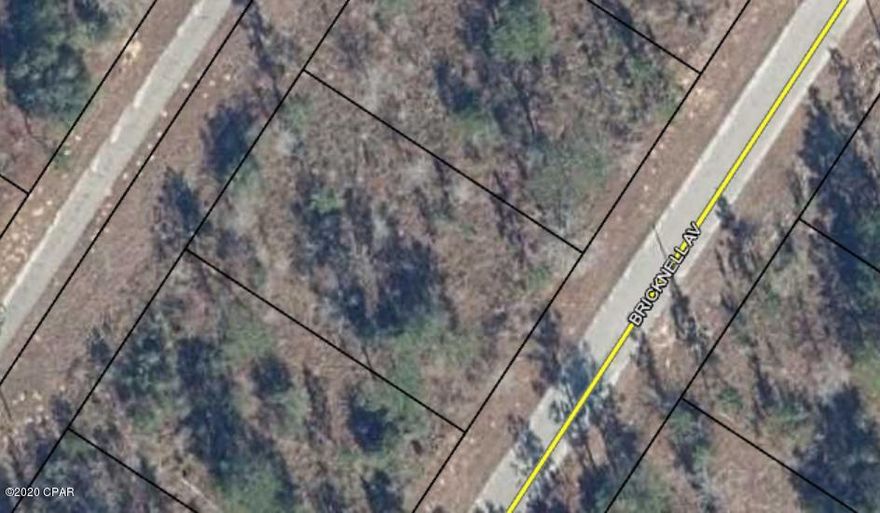 Excellent location to build! Just off the Sunny Hills Blvd. entrance, down from a row of homes, so cost to add electric and water should be minimal. Go by and see! Need a builder? Join us in Sunny Hills! 40 minutes to the beach, 20 to Chipley, 30 to the airport. Lots of lakes, ponds, boating opportunities, beaches and springs. Not far from Pier Park. Check out our very popular Boat Lake Swimming and Recreational area!