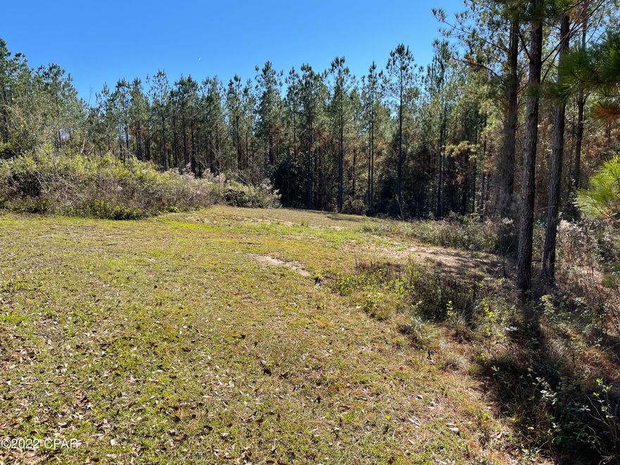 Located less than five miles from River Landing Park on the Apalachicola River and Lake Seminole, this property is any outdoorsman's dream.  Neighboring large, wooded tracts create privacy and also provide ideal wildlife habitat and great hunting.  There are multiple areas that would be prime spots for food plots and hunting stands.  This property offers several access points.  Close enough to all the amenities, but you can still get back off the road to enjoy the peace and quiet of a country setting.  In addition, public utilities are available creating potential commercial opportunities.