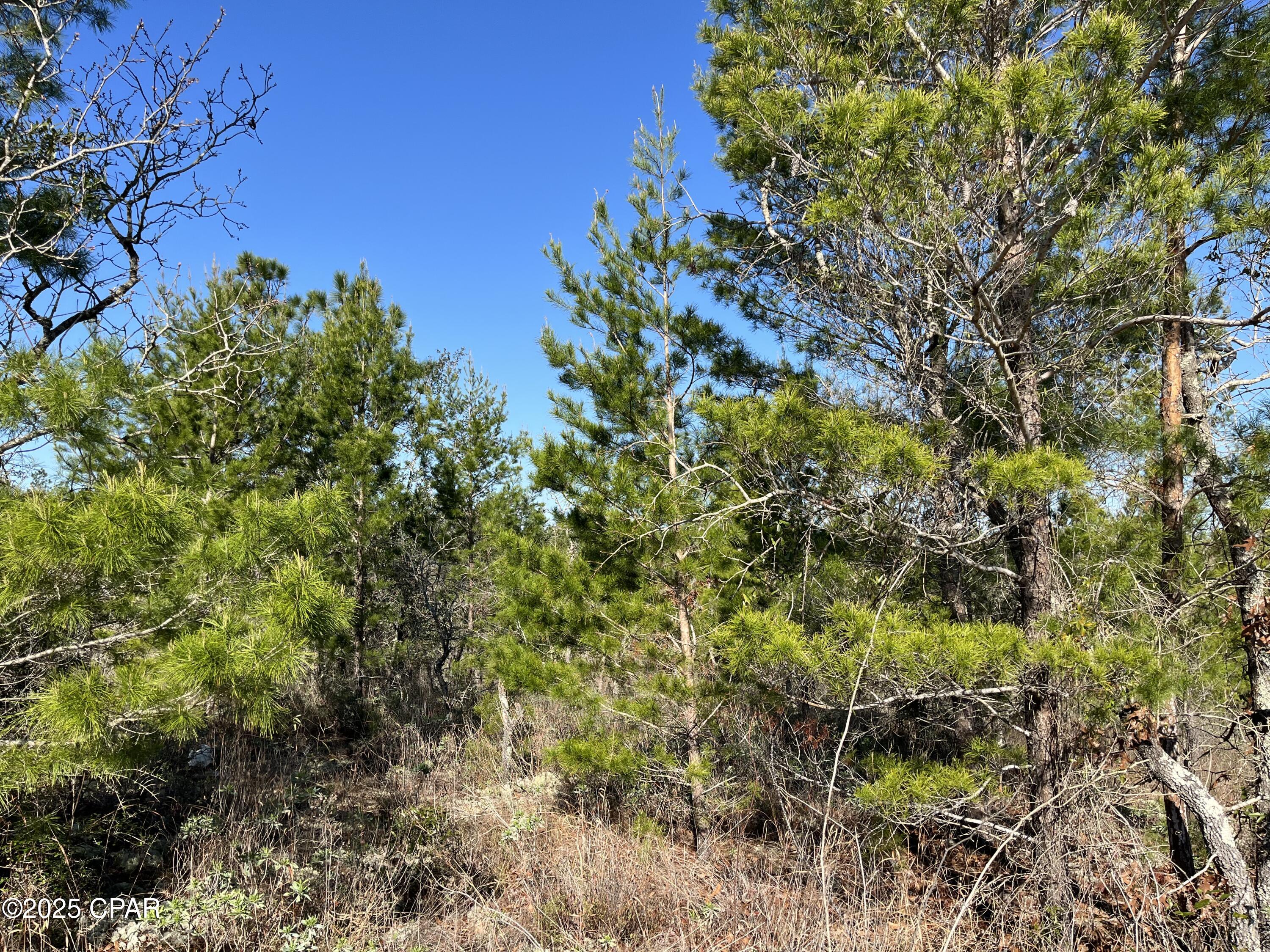 Sunny Hills Unit 1 - Land