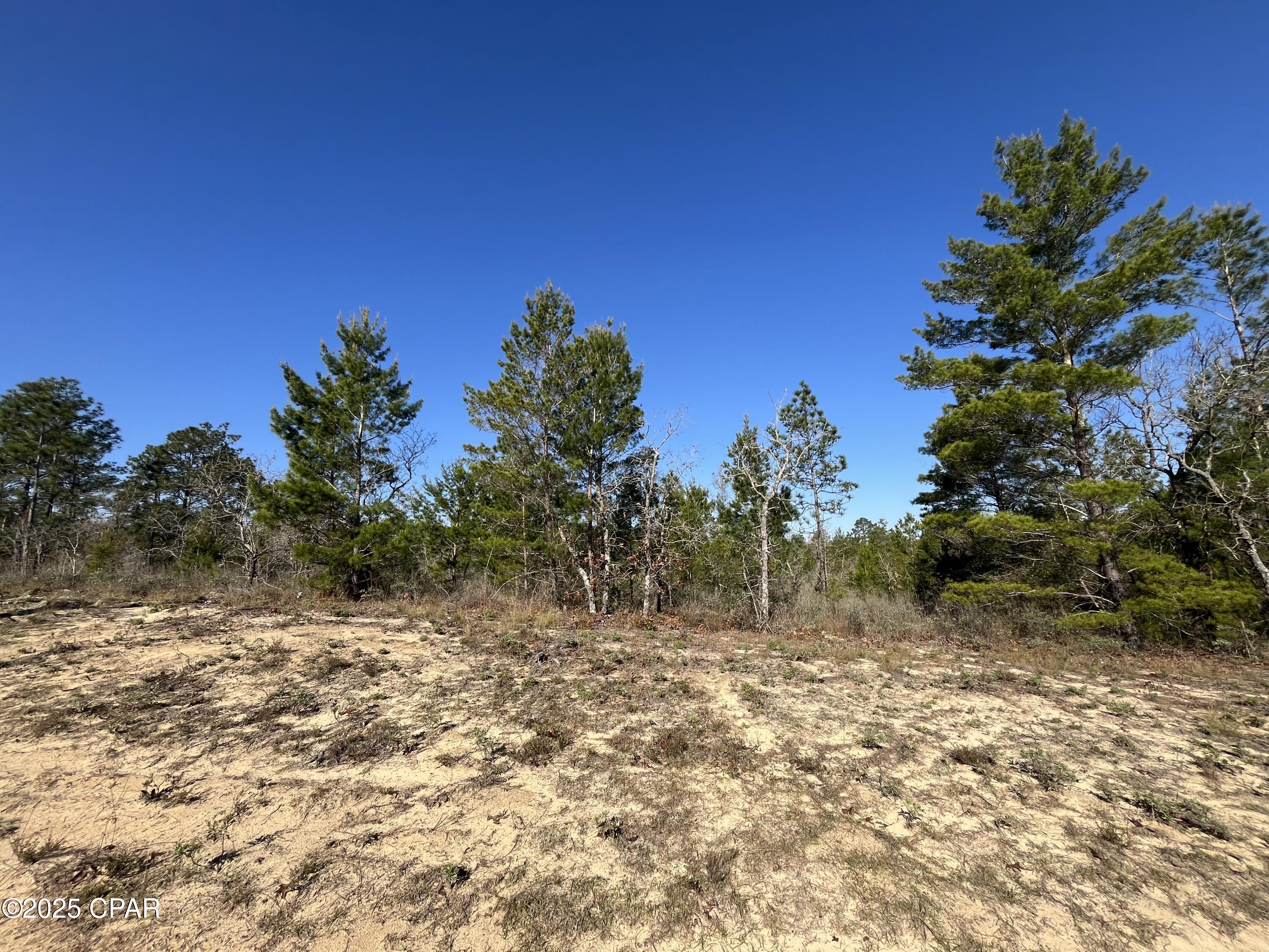 Sunny Hills Unit 1 - Land