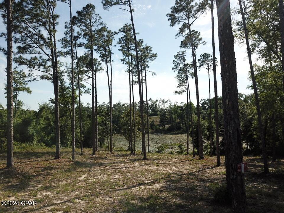 Compass Lake Hills Unit 6 - Land