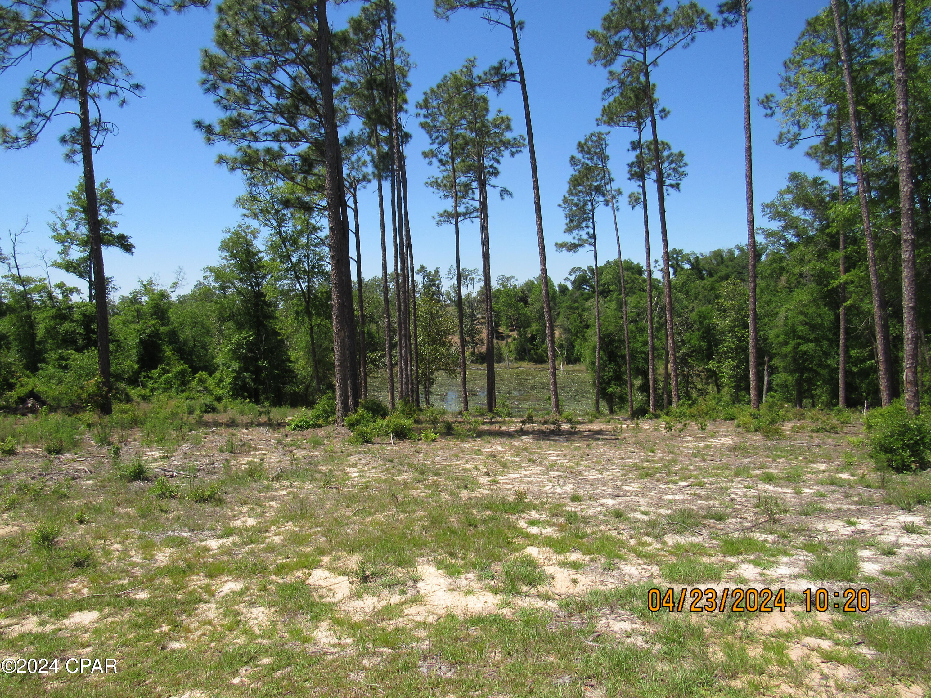 Compass Lake Hills Unit 6 - Land