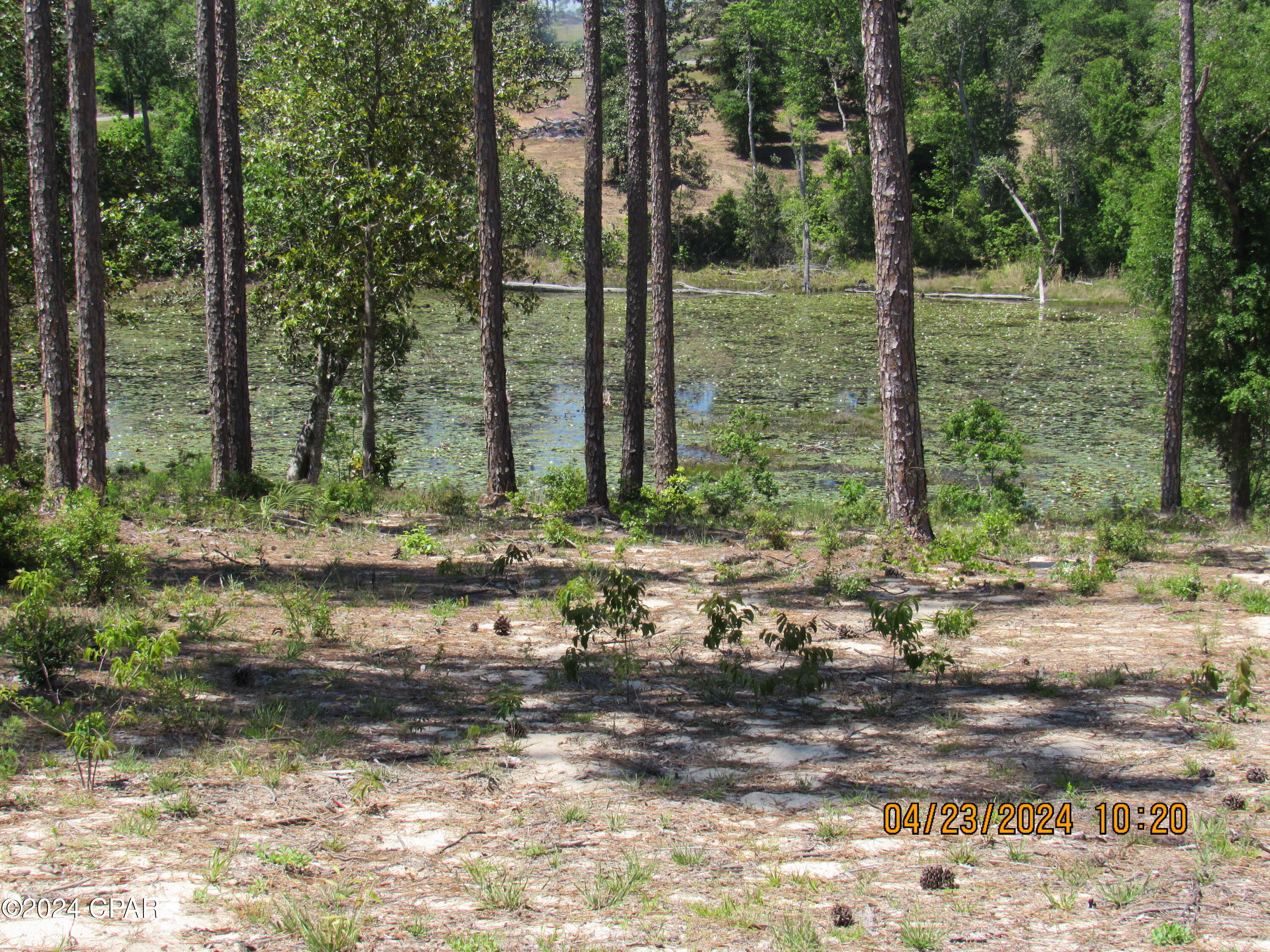 Compass Lake Hills Unit 6 - Land