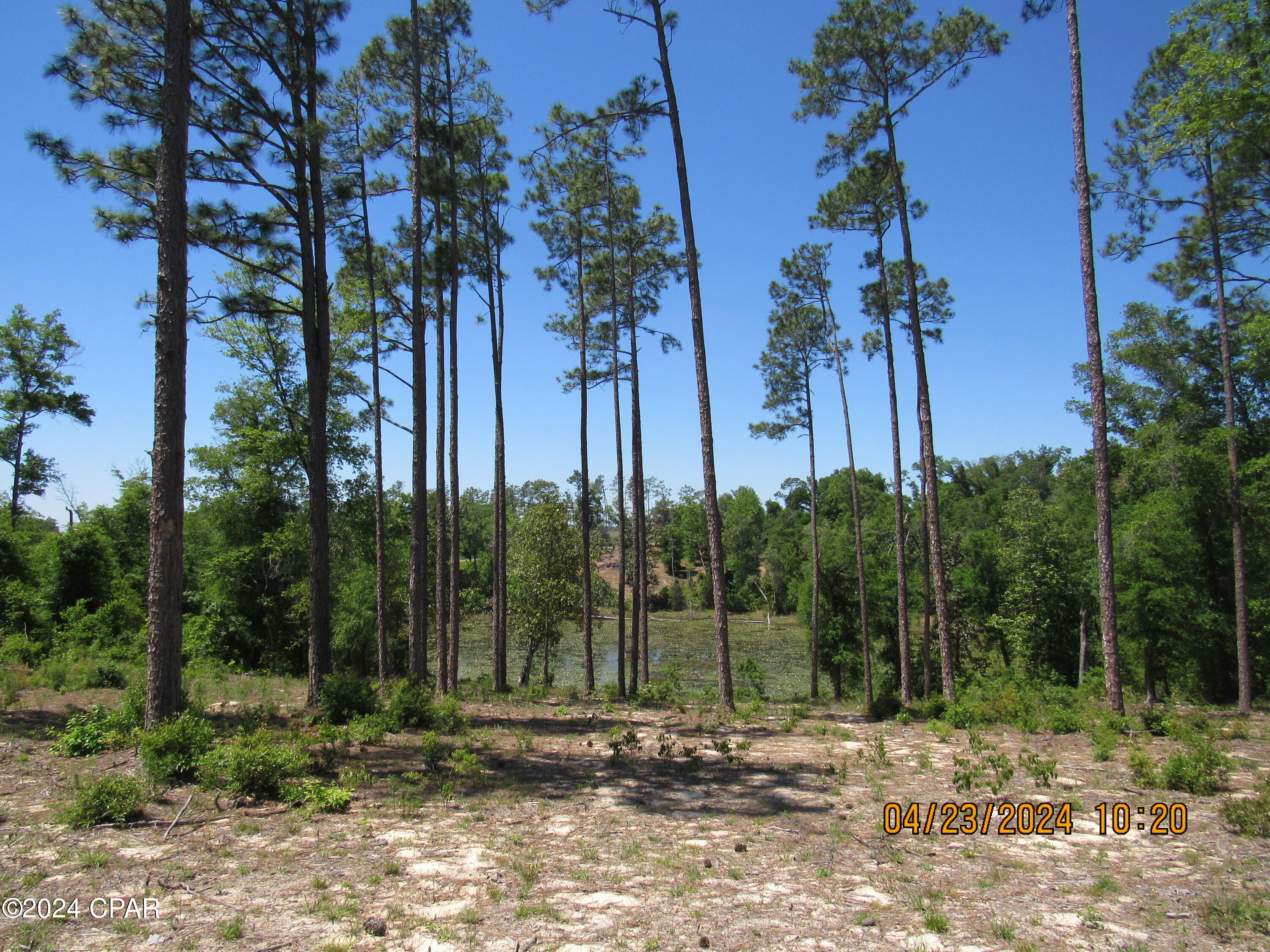 Compass Lake Hills Unit 6 - Land