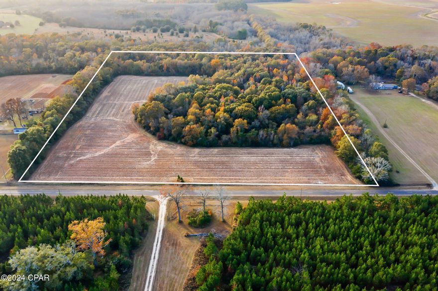 Embrace the endless possibilities on this sprawling 24-acre property, a true blank slate for your vision! Whether you're looking to build your dream home, design a peaceful retreat, create the ultimate weekend getaway, or cultivate farmland, this versatile land has it all. A cleared area offers a head start for your plans, while the expansive acreage provides ample space for agricultural use or recreation. Conveniently located off a paved road and just a short drive to Hwy 231, this property combines accessibility with serene countryside living.