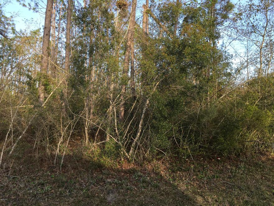 This is vacant property that would be a nice place to build a new home or put a mobile home on it is close enough to town but out far enough to be in a country setting.



Seller states that this property had a well possibly 2 wells but doesn't know if they are still there or in working condition also it had a septic tank not sure of condition and the property is sold as is.