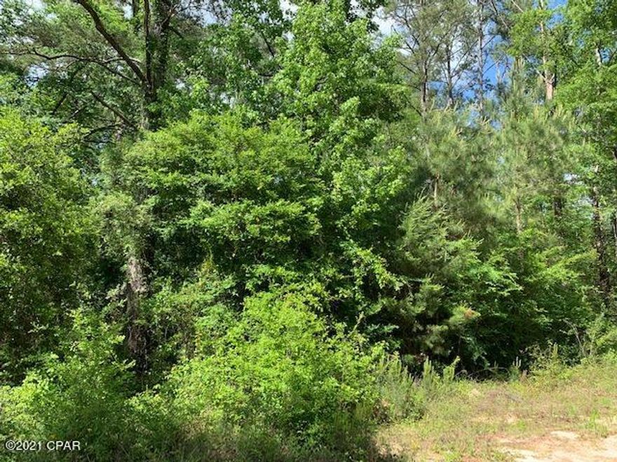 Weekend GETAWAY!

Wooded lot in the Caryville Camp Sites. Would make a great get away place, close to the River. Public Boat Landing on the Choctawhatchee River just down the street.