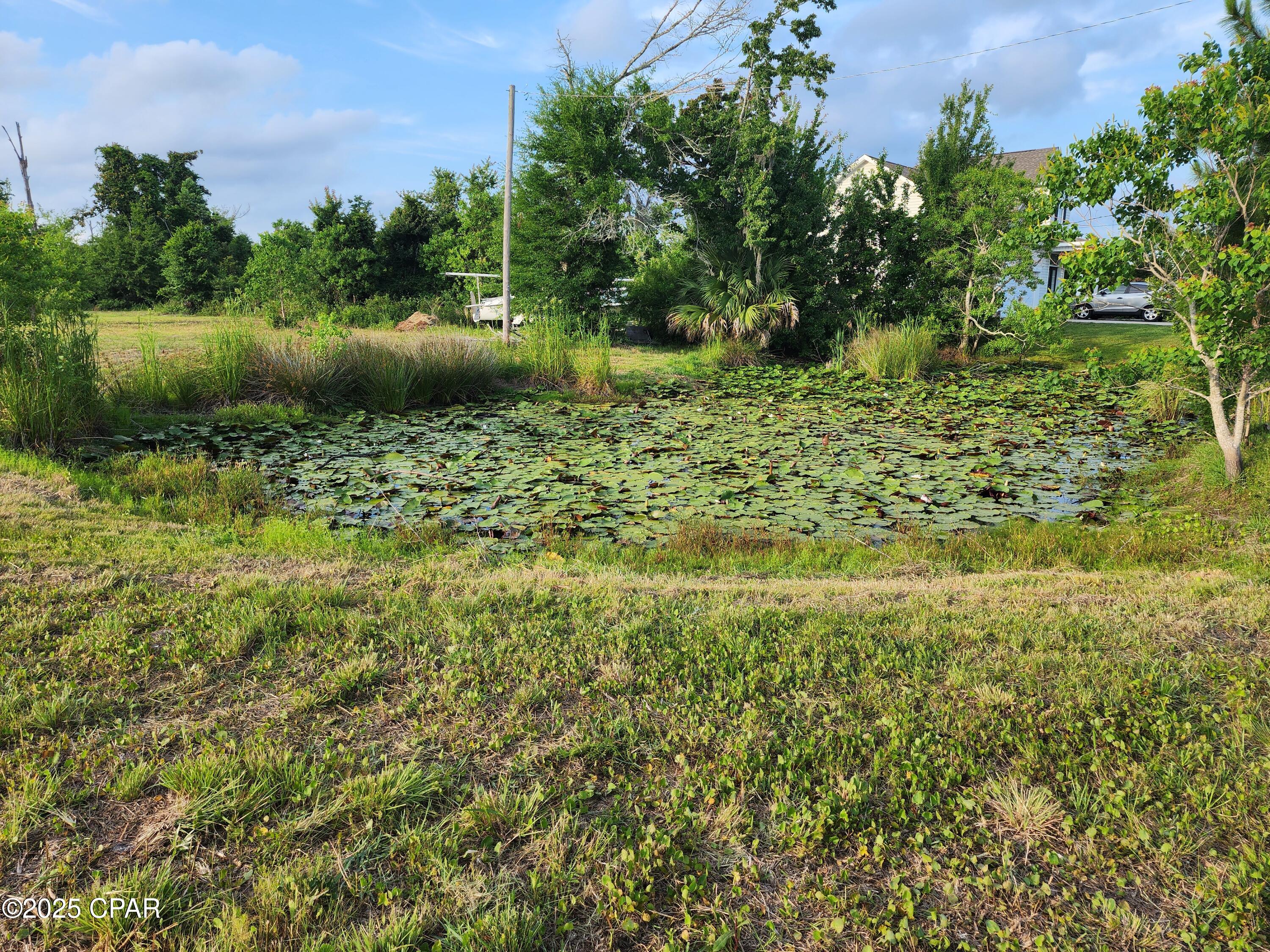 St. Andrews Bay Dev. Co. - Land